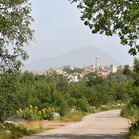Papoudiko Hotel 4*